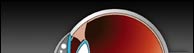 Eye - top
